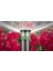 Ps Ultra, 12A Sprey Spring, 10CM (4/"), ½/" Giriş, 3,5mt. Yarıçap 50 Adet 3