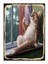 Sigara Içen Kedi Art Mdf Poster 1