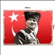 Seçili Renk Çok Renkli