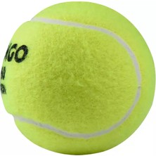 ARTENGO Tenis Topu - Sarı - 3'lü - TB160