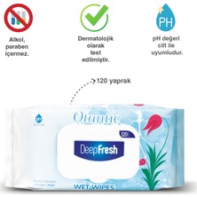 Deep Fresh Otantik Islak Mendil Ebruli 120 Yaprak