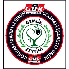 Gür Zeytincilik Doğal Yağlı Salamura Siyah Zeytin(Gemlik Zeytini) 1 kg