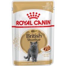 Royal Canin 10 Adet British Shorthair Yetişkin Kedi Yaş Maması 85 gr
