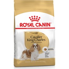 Royal Canin Cavalier King Charles Irk Adult Köpek Maması 1,5 kg
