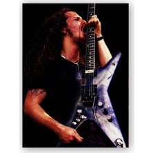 Caka Tablo   Ahşap Tablo Dimebag Darrell Elektrogitarist Sahnede