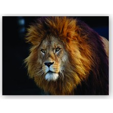 Caka Tablo   Ahşap Tablo Aslan Kral