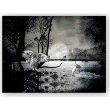 Caka Tablo   Ahşap Tablo Gecede Balıkçı Kuşları Göl