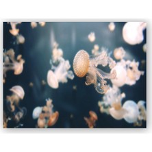 Caka Tablo   Ahşap Tablo Paris Akvaryumunda Kahverengi Denizanaları