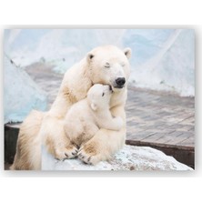 Caka Tablo   Ahşap Tablo Kutup Ayısı Ve Sevimli Yavrusu