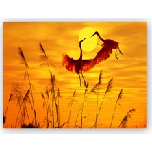 Caka Tablo   Ahşap Tablo Günbatımında Balıkçıllar