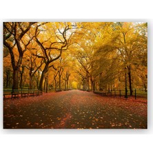 Caka Tablo   Ahşap Tablo Sonbahar Sarı Kızıl Yapraklar Ağaçlı Yol
