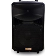 Provoice HP-12 2 Yollu 600W 12 inç Pasif Kabin Hoparlör