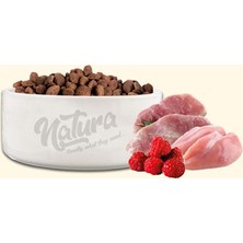 Natura Kısırlaştırılmış Tavuk Hindi Üzümlü Kedi Maması 2.25 kg