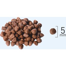 Natura Yavru Mini Starter Tavuklu Kedi Maması 2.25 kg