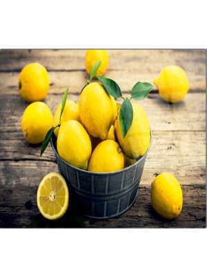 Olinpa Cam Ocak Arkası Koruyucu | Limon Desenli