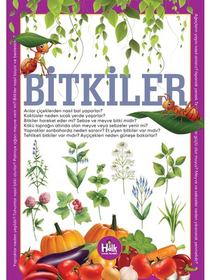Bitkiler