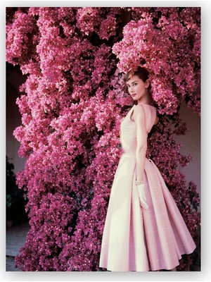 Caka Tablo   Ahşap Tablo Audrey Hepburn Kırmızı Çiçekler Önünde Yakın Çekim