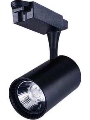 Noas 30W LED Ray Spot Siyah Kasa