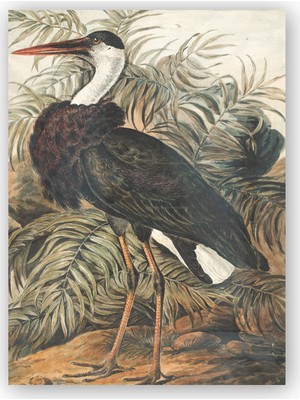 Caka Tablo   Ahşap Tablo Yapraklar Önündeki Turna Kuşu