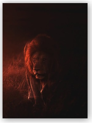 Caka Tablo   Ahşap Tablo Erkek Aslan Koyu Karanlığın İçinde