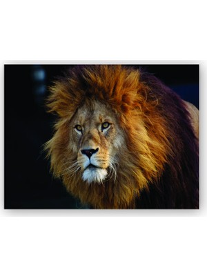 Caka Tablo   Ahşap Tablo Aslan Kral