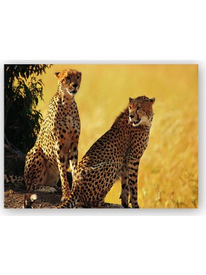 Caka Tablo   Ahşap Tablo Çift Leopar