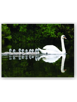 Caka Tablo   Ahşap Tablo Kuğu ve Yavrular