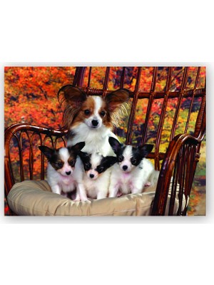 Caka Tablo   Ahşap Tablo Sandalyede Yavru Köpekler