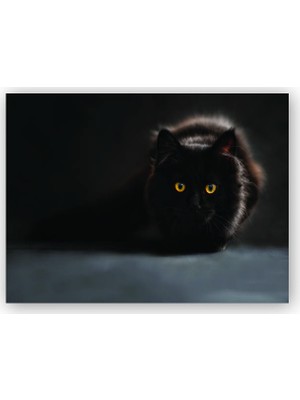Caka Tablo   Ahşap Tablo Sarı Gözlü Kara Kedi