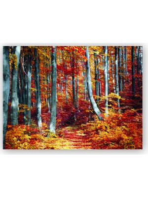 Caka Tablo   Ahşap Tablo Sonbaharda Orman