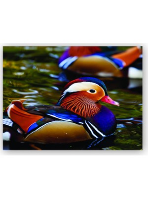 Caka Tablo   Ahşap Tablo Mandarin Ördeği