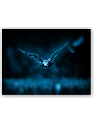 Caka Tablo   Ahşap Tablo Baykuş Gece Uçuşu