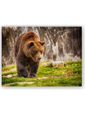 Caka Tablo   Ahşap Tablo Boz Ayı Ormanda