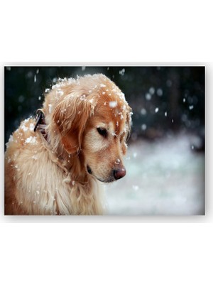 Caka Tablo   Ahşap Tablo Golden Retriever ve Kar Taneleri