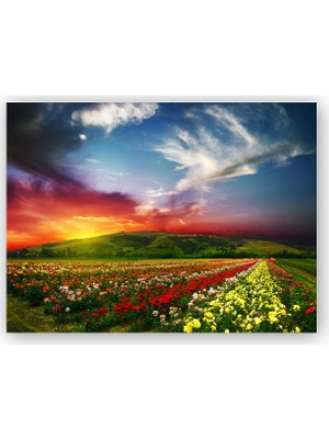 Caka Tablo   Ahşap Tablo Günbatımında Tepeler ve Rengarenk Çiçekler