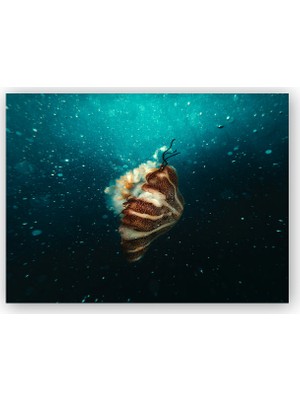 Caka Tablo   Ahşap Tablo Kahverengi Denizanası ve Kabarcıklar