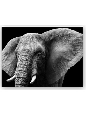 Caka Tablo   Ahşap Tablo Yakın Plan Fil Siyah Beyaz