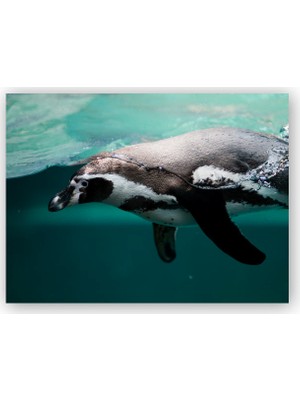 Caka Tablo   Ahşap Tablo Yüzen Penguen Sualtı