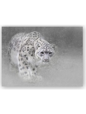 Caka Tablo   Ahşap Tablo Beyaz Kar Leoparı