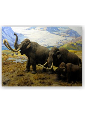 Caka Tablo   Ahşap Tablo Kuzey Amerika Mamutları İllüstrasyon