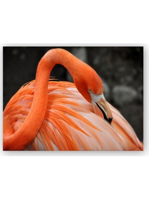 Caka Tablo   Ahşap Tablo Turuncu Flamingo
