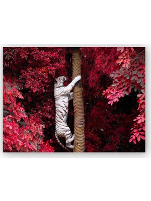 Caka Tablo   Ahşap Tablo Kırmızı Yapraklar ve Ağaca Tırmanan Beyaz Kaplan