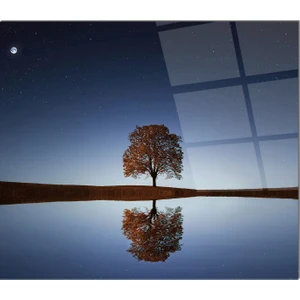 Cam Ocak Arkası Koruyucu | Yalnız Ağaç Desenli