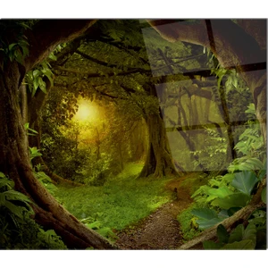 Cam Ocak Arkası Koruyucu | Patika