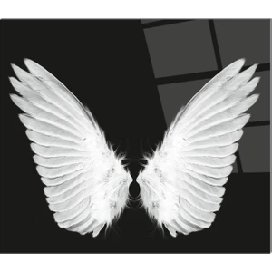 Cam Ocak Arkası Koruyucu | Isimli