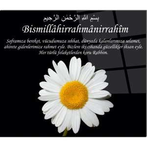 Cam Ocak Arkası Koruyucu | Besmele ve Papatya
