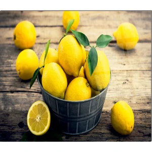 Cam Ocak Arkası Koruyucu | Limon Desenli