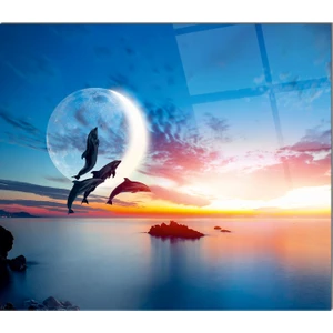 Cam Ocak Arkası Koruyucu | Yunuslar