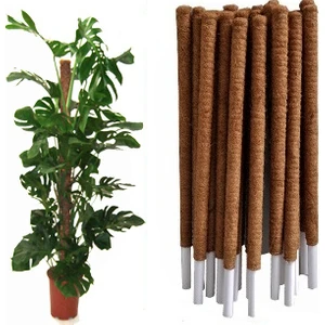 Koko Sarmaşık Destek Çubuğu 90 cm