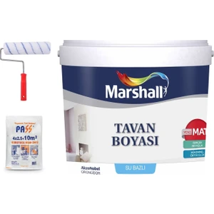 Tavan Boyası 2,5 Lt